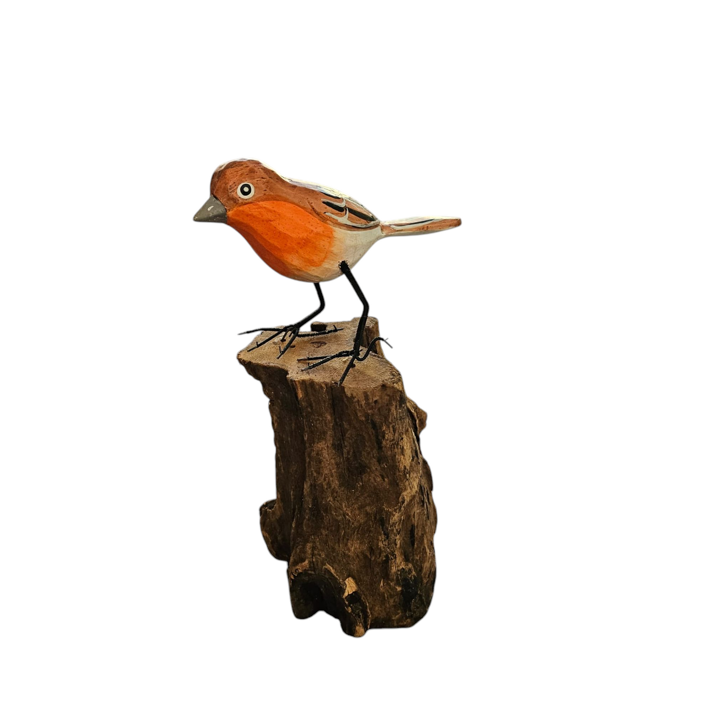 vogeltjes op stam (kanarie, roodborstje, pimpelmees)