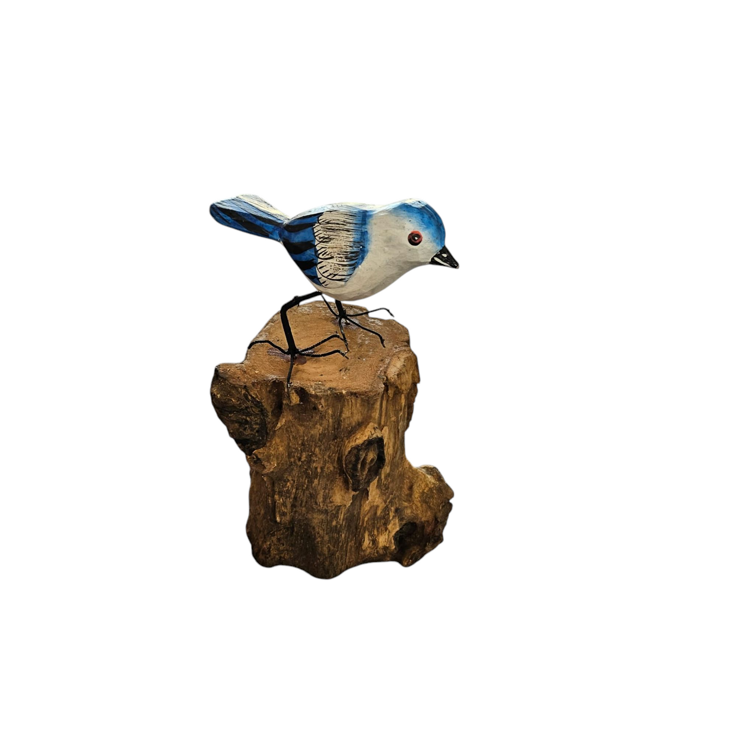 vogeltjes op stam (kanarie, roodborstje, pimpelmees)